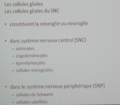 Capture d’écran 2016-11-22 à 11.42.00.png