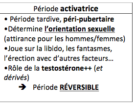 Capture d’écran 2016-11-22 à 23.03.04.png