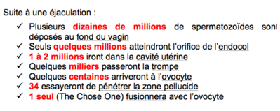 Capture d’écran 2016-11-23 à 08.07.24.png