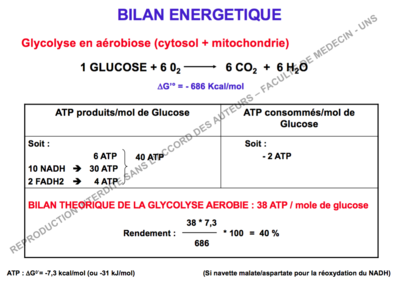 Capture d’écran 2016-11-23 à 11.29.18.png