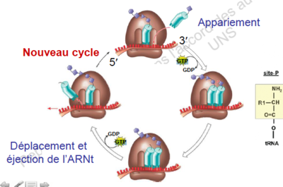 Capture d’écran 2016-11-25 à 17.39.07.png