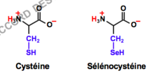Capture d’écran 2016-11-27 à 08.14.16.png