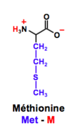 Capture d’écran 2016-11-27 à 09.45.14.png