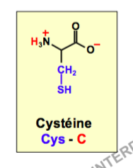 Capture d’écran 2016-11-27 à 09.55.52.png