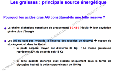 Capture d’écran 2016-11-27 à 14.39.35.png