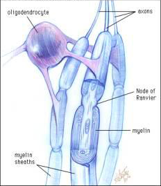 Capture d’écran 2016-11-27 à 19.24.30.png