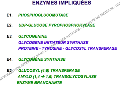 Capture d’écran 2016-11-30 à 07.33.48.png
