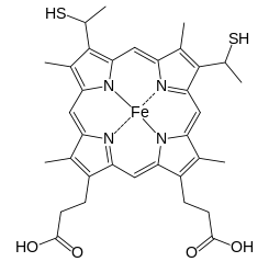 Capture d’écran 2016-11-30 à 19.55.09.png