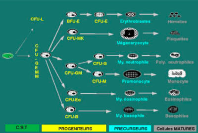 Capture d’écran 2016-12-01 à 18.02.37.png