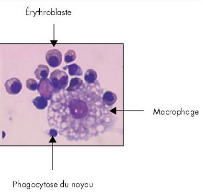 Capture d’écran 2016-12-03 à 20.39.16.png