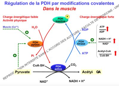 Capture d’écran 2016-12-04 à 14.29.39.png