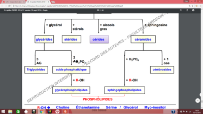 Capture d’écran (46).png