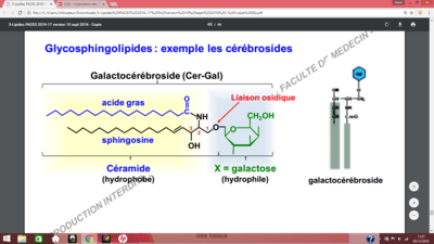 Capture d’écran (47).png