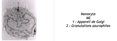 Capture d’écran 2016-12-05 à 18.31.21.png