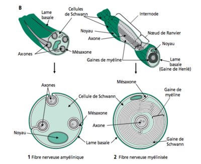Capture d’écran 2016-12-05 à 18.48.17.png