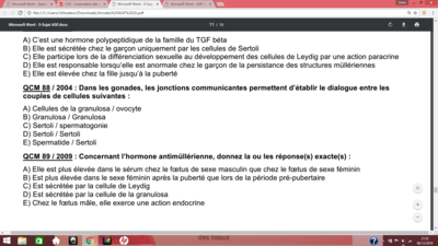 Capture d’écran (48).png