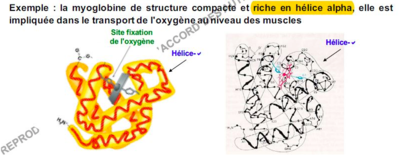 Capture d’écran 2016-12-07 à 12.29.30.png