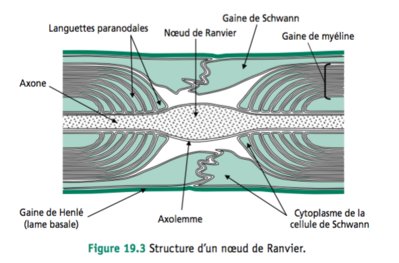 Capture d’écran 2016-12-08 à 20.03.42.png