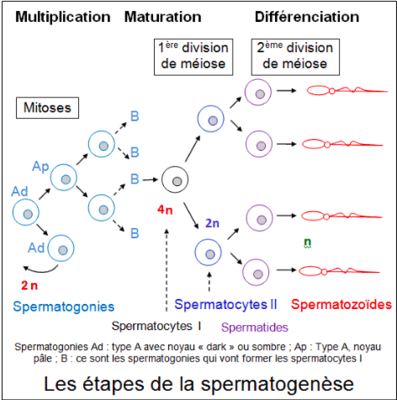 Capture d’écran 2016-12-09 à 08.45.19.png