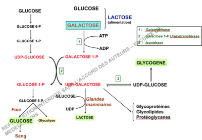 Capture d’écran 2016-12-09 à 19.50.12.png