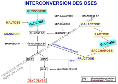 Capture d’écran 2016-12-09 à 19.49.58.png