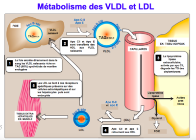 Capture d’écran 2016-12-09 à 20.44.06.png