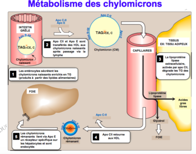 Capture d’écran 2016-12-09 à 20.43.57.png