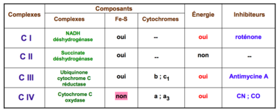 Capture d’écran 2016-12-10 à 07.14.12.png