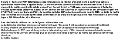 Capture d’écran 2016-12-10 à 10.01.20.jpg