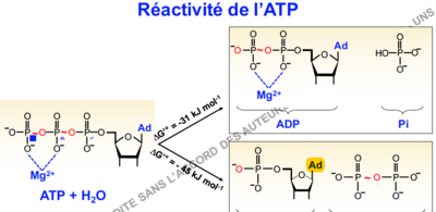 Capture d’écran 2016-12-10 à 11.41.53.png