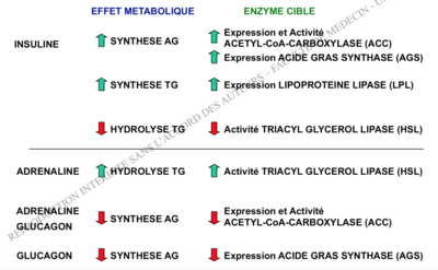 Capture d’écran 2016-12-10 à 13.29.09.png