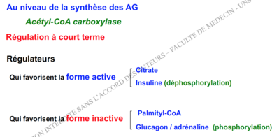 Capture d’écran 2016-12-10 à 13.29.38.png