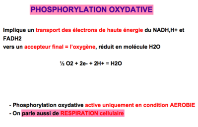 Capture d’écran 2016-12-11 à 06.38.32.png