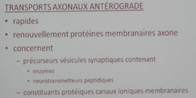 Capture d’écran 2016-12-12 à 19.44.54.png