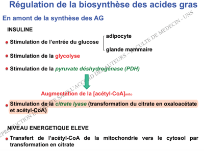 Capture d’écran 2016-12-12 à 19.52.29.png