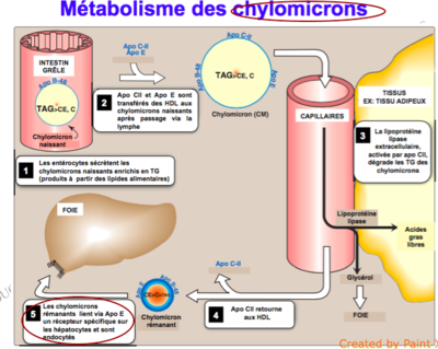 Capture d’écran 2016-12-14 à 07.24.57.png