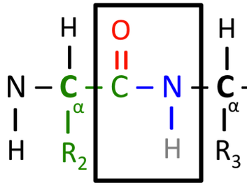 groupement fonctionnel - position.png