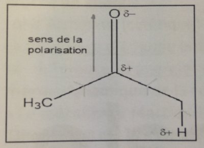 acidité alpha.JPG