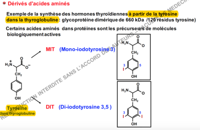 Capture d’écran 2016-12-19 à 12.54.43.png
