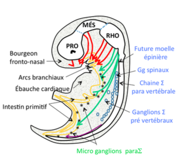 Capture d’écran 2017-01-28 à 22.25.29.png