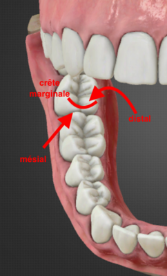 Capture d’écran 2017-02-02 à 10.12.20.png