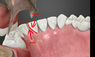 Capture d’écran 2017-02-02 à 10.02.33.png