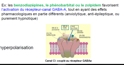 potentialisa° gaba.png