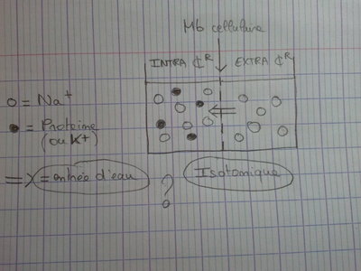 2017-02-16 18.28.50.jpg