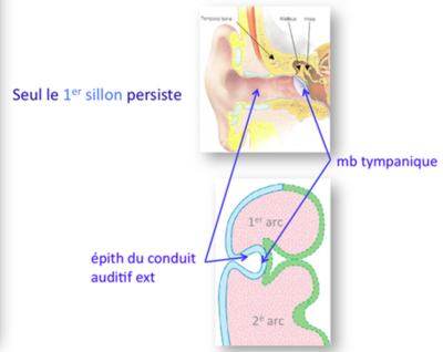Capture d’écran 2017-03-05 à 21.43.48.png