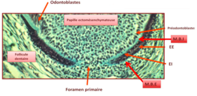 Capture d’écran 2017-03-10 à 19.04.24.png