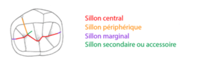 Capture d’écran 2017-03-22 à 00.55.49.png