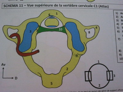 2017-03-28 22.15.47.jpg