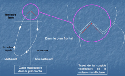 Capture d’écran 2017-04-03 à 14.33.40.png
