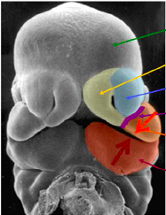 Capture d’écran 2017-04-11 à 09.10.35.png